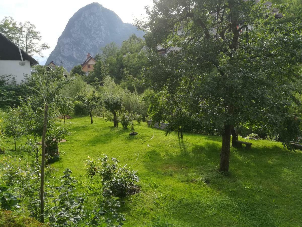 Apartma Pr Pekovcu Bohinj Exterior photo